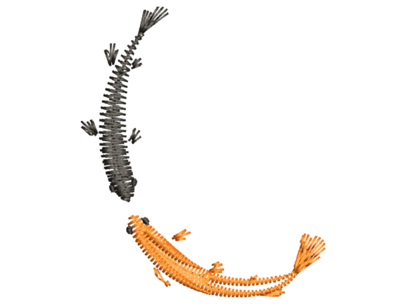 Minimal Koi Yin Yang Embroidery: A Seasonal Staple for Holiday & Gift Makers